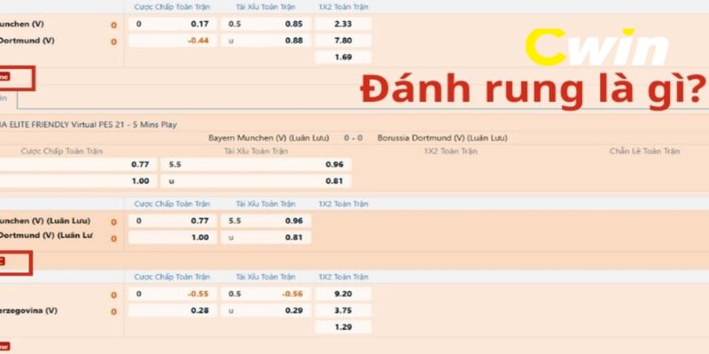 Hình thức giải trí cá cược đánh rung là gì