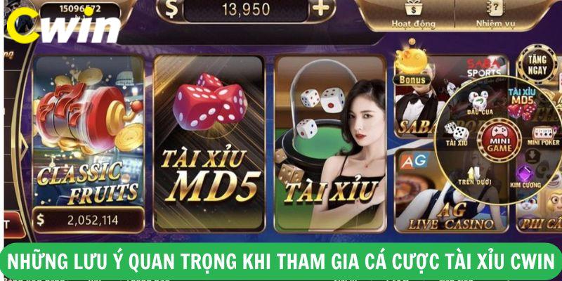 Những lưu ý quan trọng khi tham gia cá cược tài xỉu Cwin