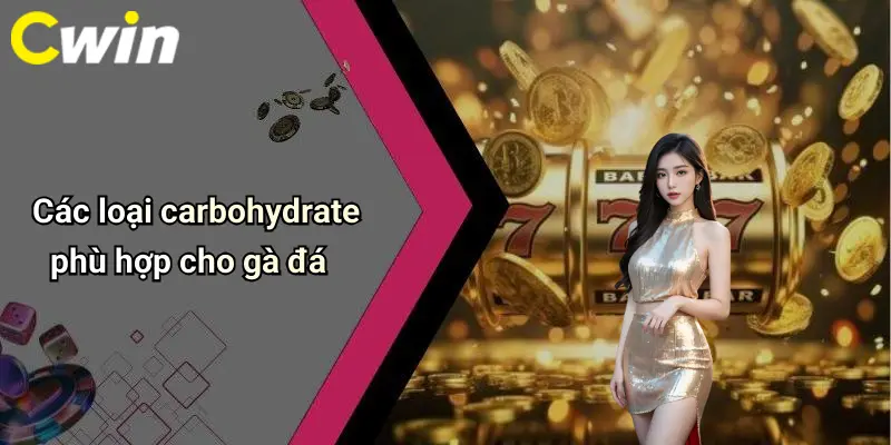 Các loại carbohydrate phù hợp cho gà đá