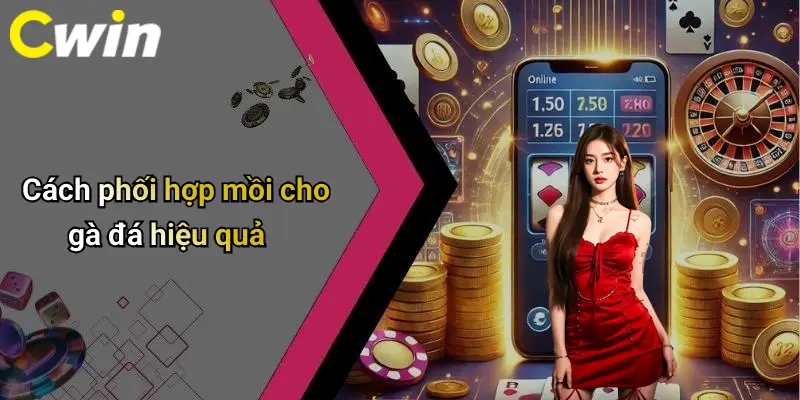 Cách phối hợp mồi cho gà đá hiệu quả