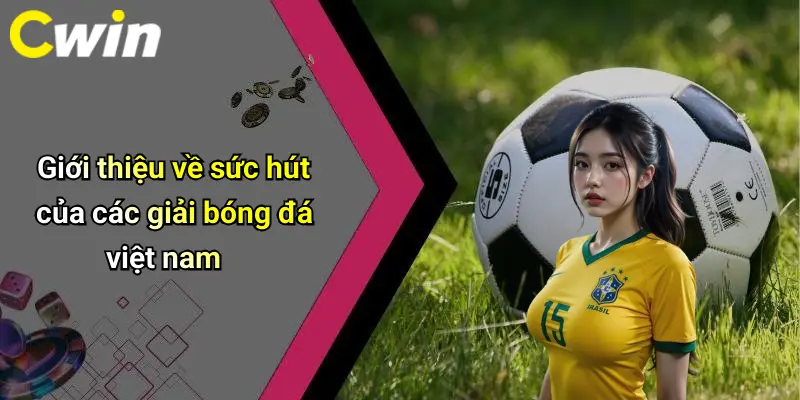Giới thiệu về sức hút của các giải bóng đá việt nam