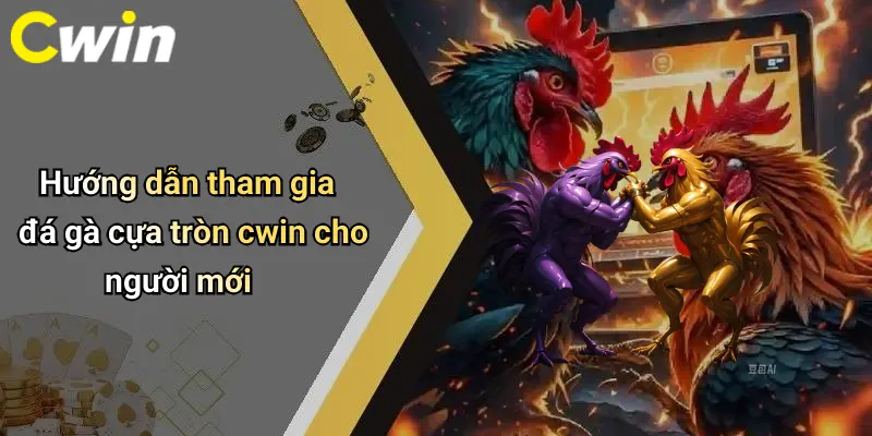 Hướng dẫn tham gia đá gà cựa tròn cwin cho người mới