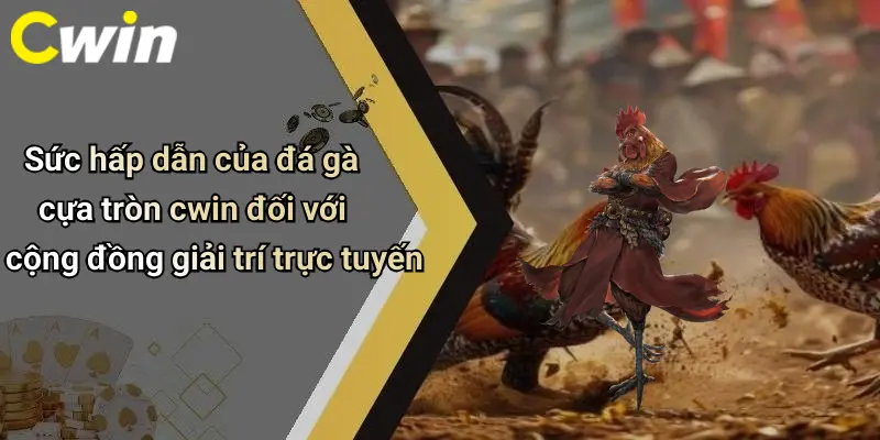 Sức hấp dẫn của đá gà cựa tròn cwin đối với cộng đồng giải trí trực tuyến