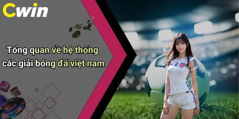 Tổng quan về hệ thống các giải bóng đá việt nam
